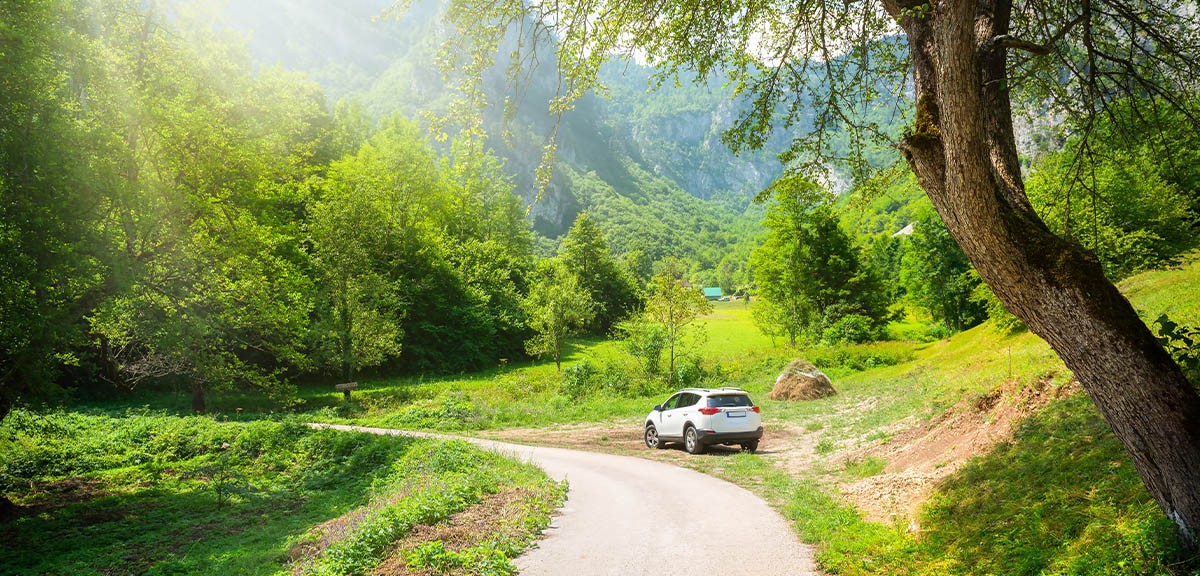 Rize’de Tatil Yapacaklar İçin 7 Günlük Araç Kiralama Planı